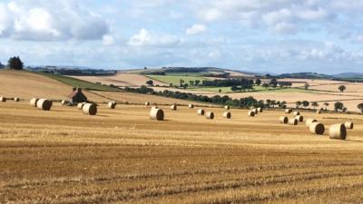 Photo of farmland