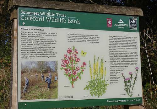 Photo Gallery Image - Coleford Wildlife Bank Sign