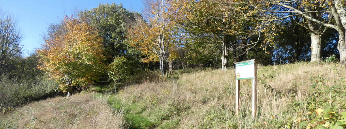 Wildlife Bank at Coleford Play Area