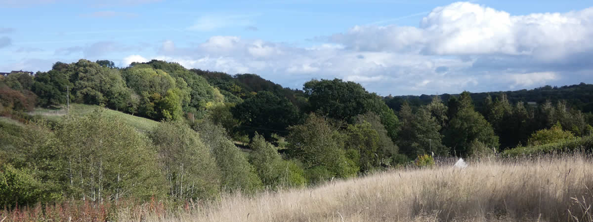 Views over surrounding countryside from the canal, Coleford